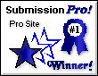 Pro Site Winner